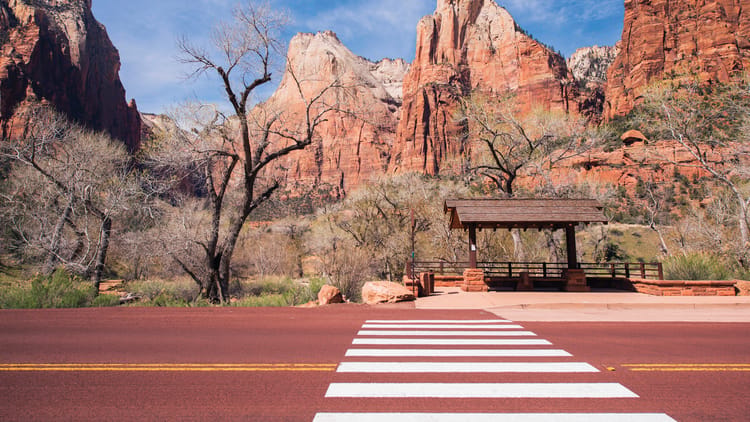 zion-bus-stop-2026-03-20-02-16-49-utc